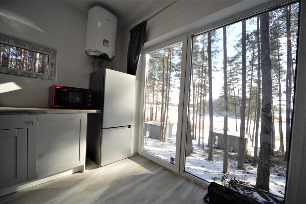 Gaujaclub - Our Bose And Bang&Olufsen Lofts On A Lake Gauja  外观 照片