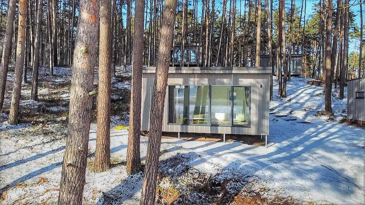 Gaujaclub - Our Bose And Bang&Olufsen Lofts On A Lake Gauja  外观 照片