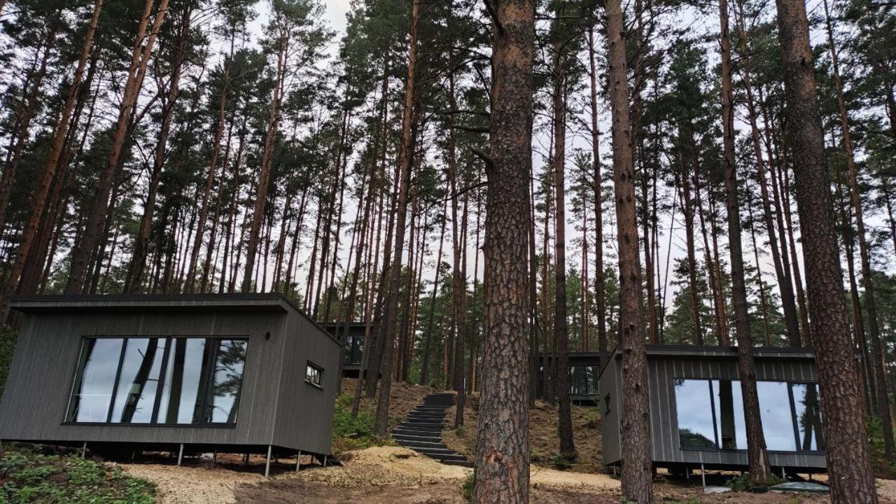 Gaujaclub - Our Bose And Bang&Olufsen Lofts On A Lake Gauja  外观 照片