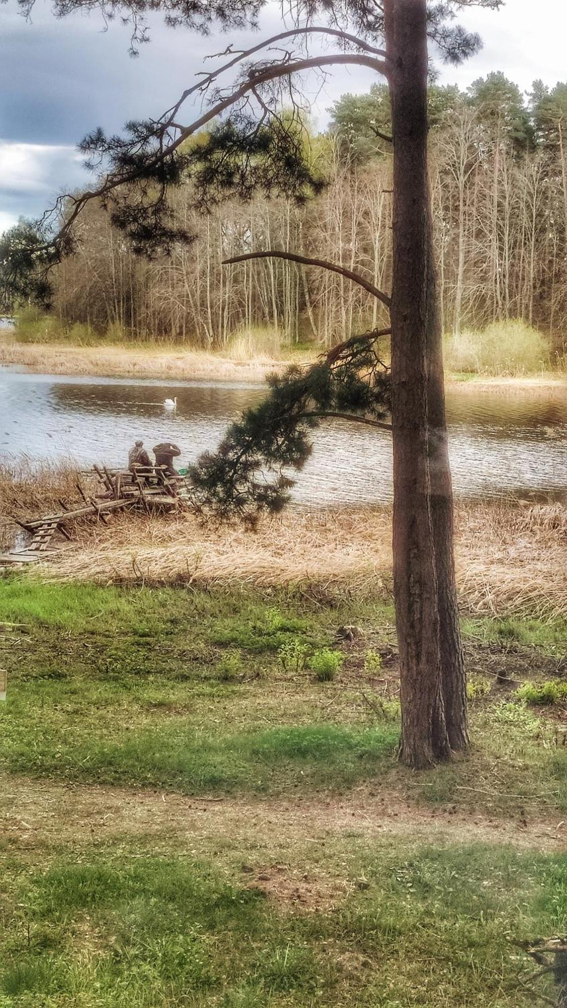 Gaujaclub - Our Bose And Bang&Olufsen Lofts On A Lake Gauja  外观 照片