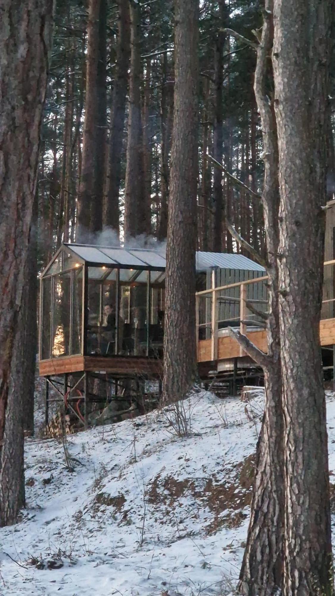 Gaujaclub - Our Bose And Bang&Olufsen Lofts On A Lake Gauja  外观 照片