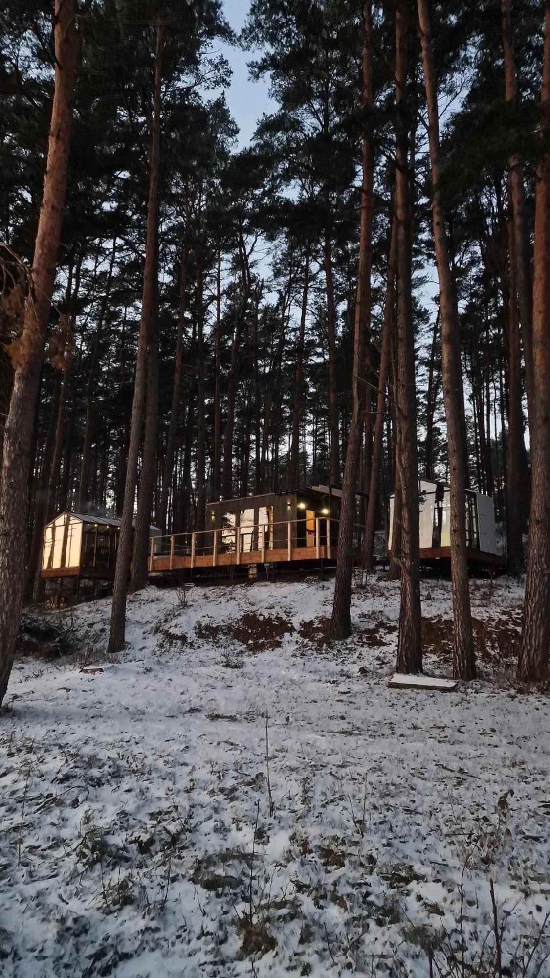 Gaujaclub - Our Bose And Bang&Olufsen Lofts On A Lake Gauja  外观 照片