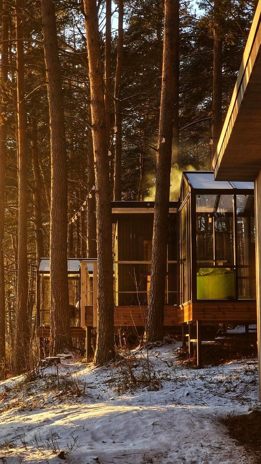Gaujaclub - Our Bose And Bang&Olufsen Lofts On A Lake Gauja  客房 照片